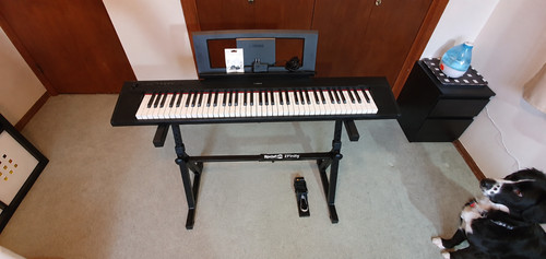 Yamaha piaggero digital - yamaha,